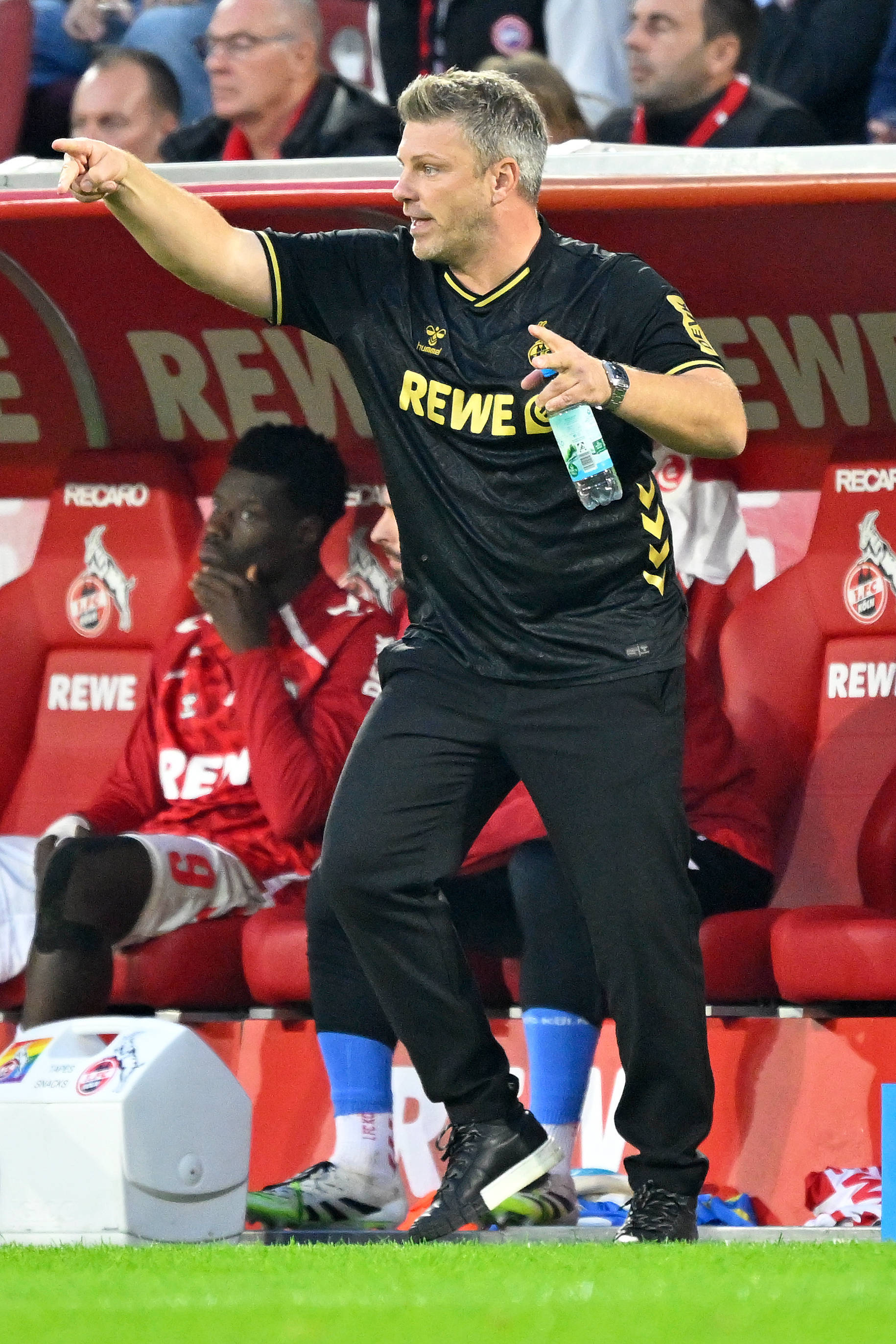 （体育）足球——德甲：斯图加特胜科隆