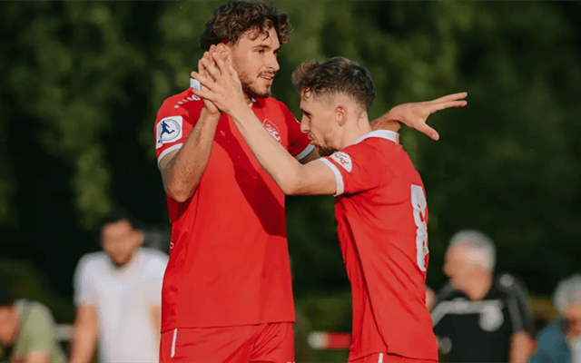 德甲：霍芬海姆表现跳跃，海登海默状态尴尬